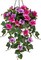 Fake Hanging Flowers with Basket, Artificial Morning Glory Hanging Plants Faux Spring Flowers(Pink Purple)